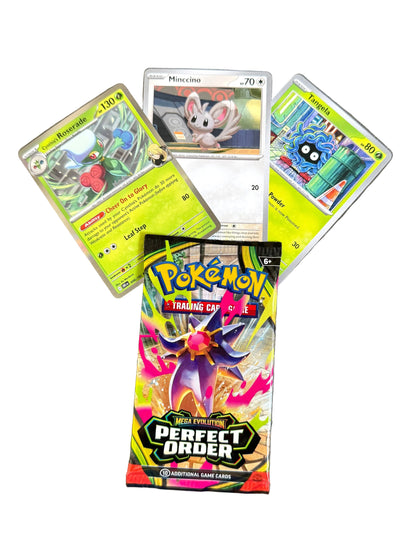 blind date with a SHONEN/SUPERNATURAL manga (Volume 1 & 2) & Pokemon gift bundle ⋆˚꩜｡