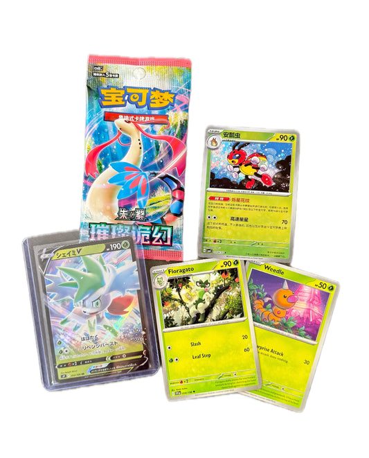 blind date with a STUDIO GHIBLI manga & Pokemon gift bundle ⋆˚꩜｡