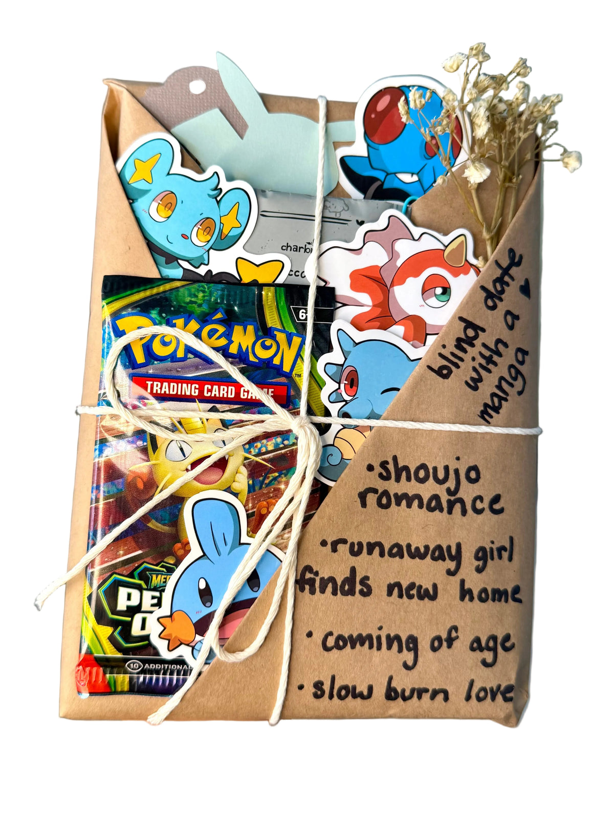 blind date with a SHOUJO ROMANCE manga & Pokemon gift bundle ⋆˚꩜｡