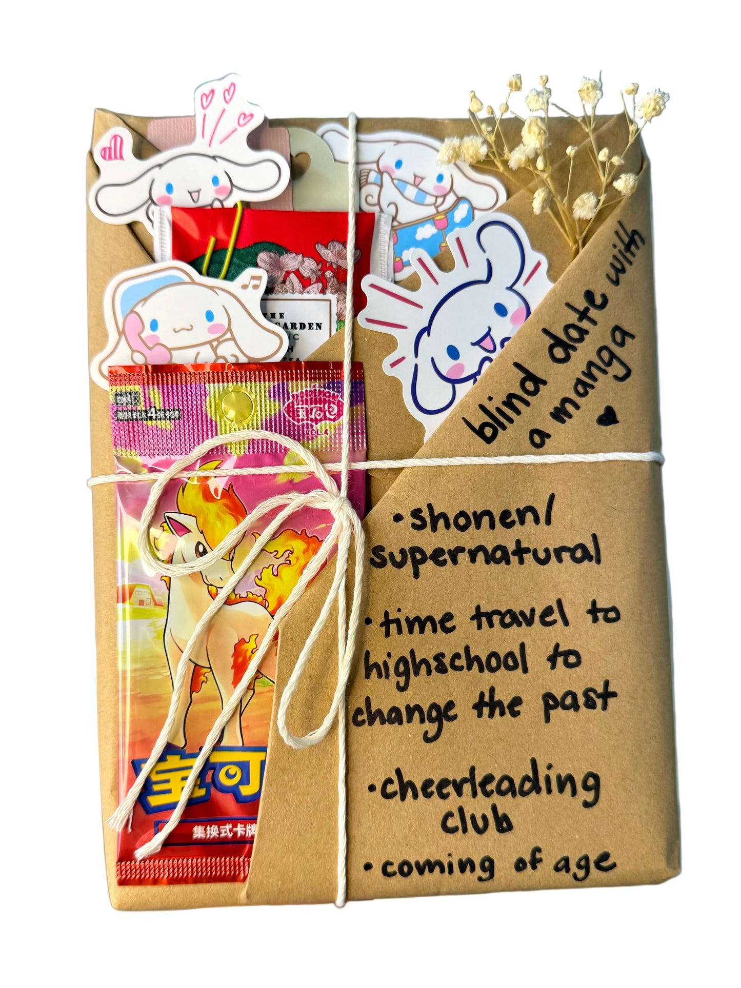 blind date with a SHONEN/SUPERNATURAL manga & Pokemon gift bundle ⋆˚꩜｡