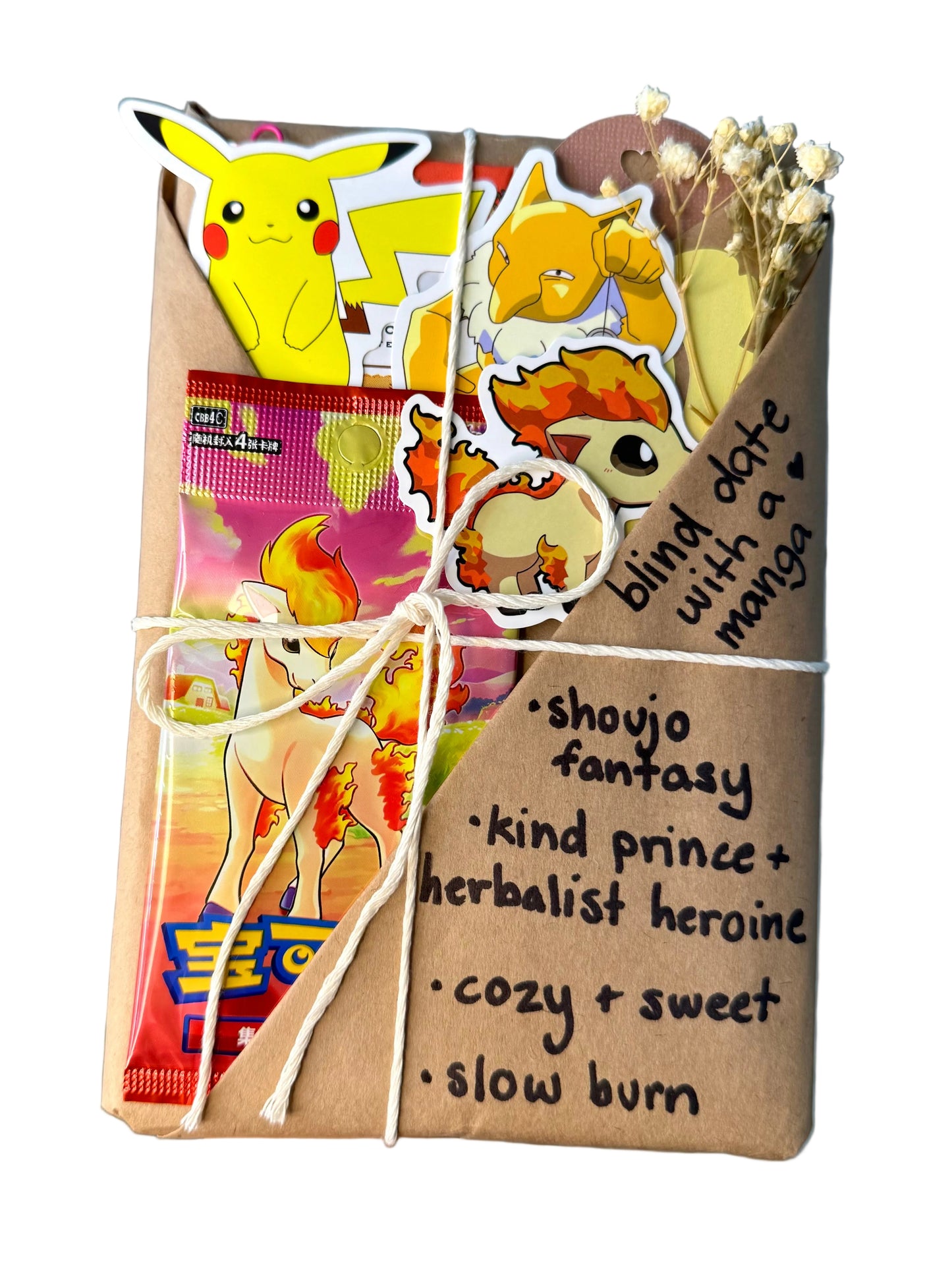 blind date with a SHOUJO FANTASY manga & Pokemon gift bundle ⋆˚꩜｡