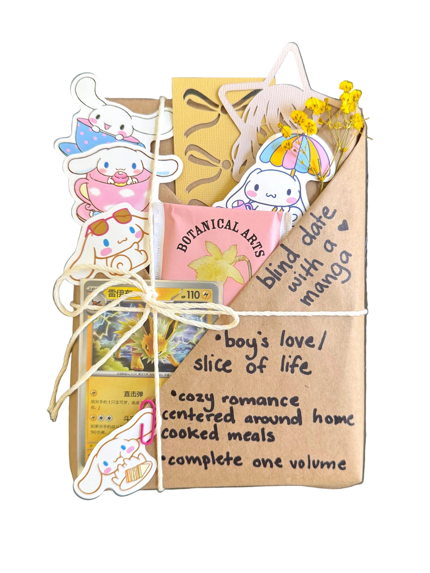 blind date with a BOY’S LOVE/SLICE OF LIFE manga & Pokemon gift bundle ⋆˚꩜｡